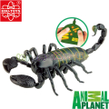 Animal Planet™ EL149 Скорпион с дистанционно управление Edu Toys 